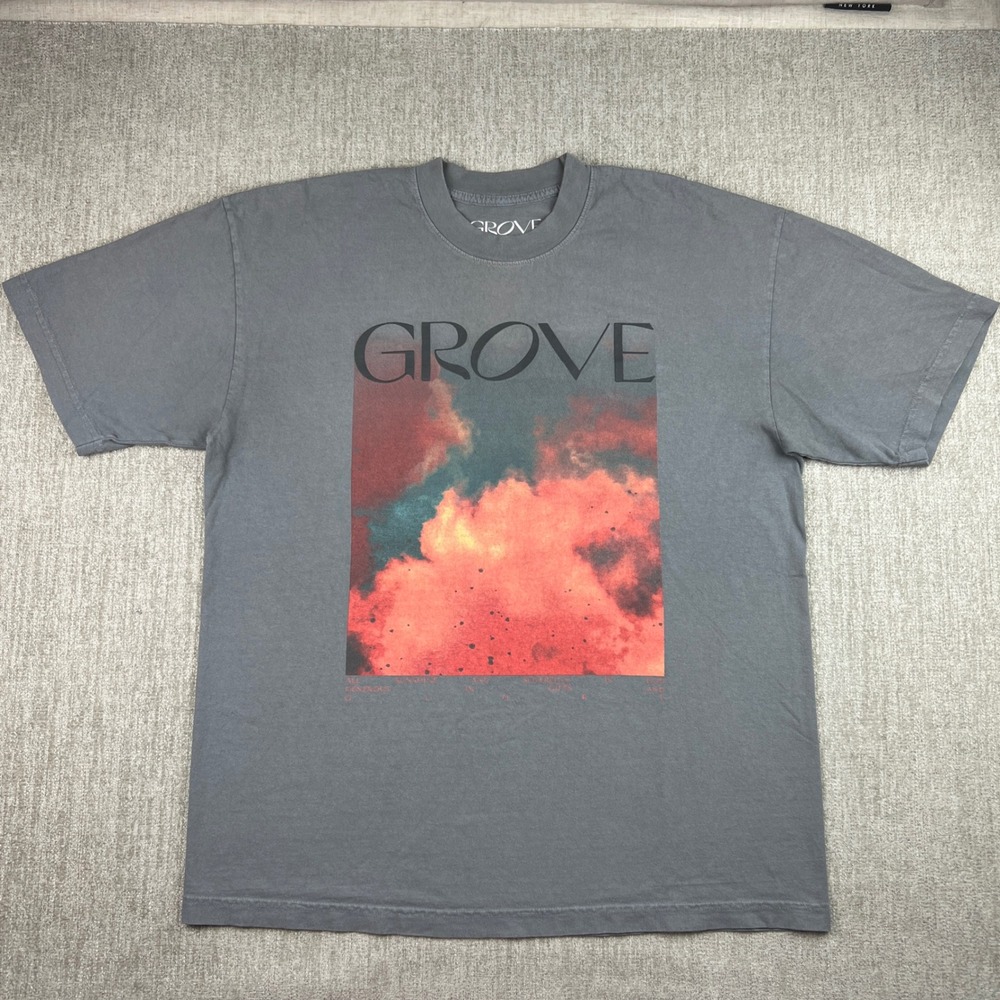 Grove T-Shirt Mens Large Graphic Print Short Sleeve Gray‎ Casual Tee Streetwear